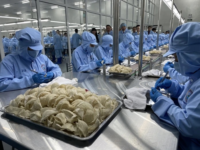 Khánh Hòa chủ động giữ nhịp tăng trưởng trước biến động từ chiến sự Trung Đông